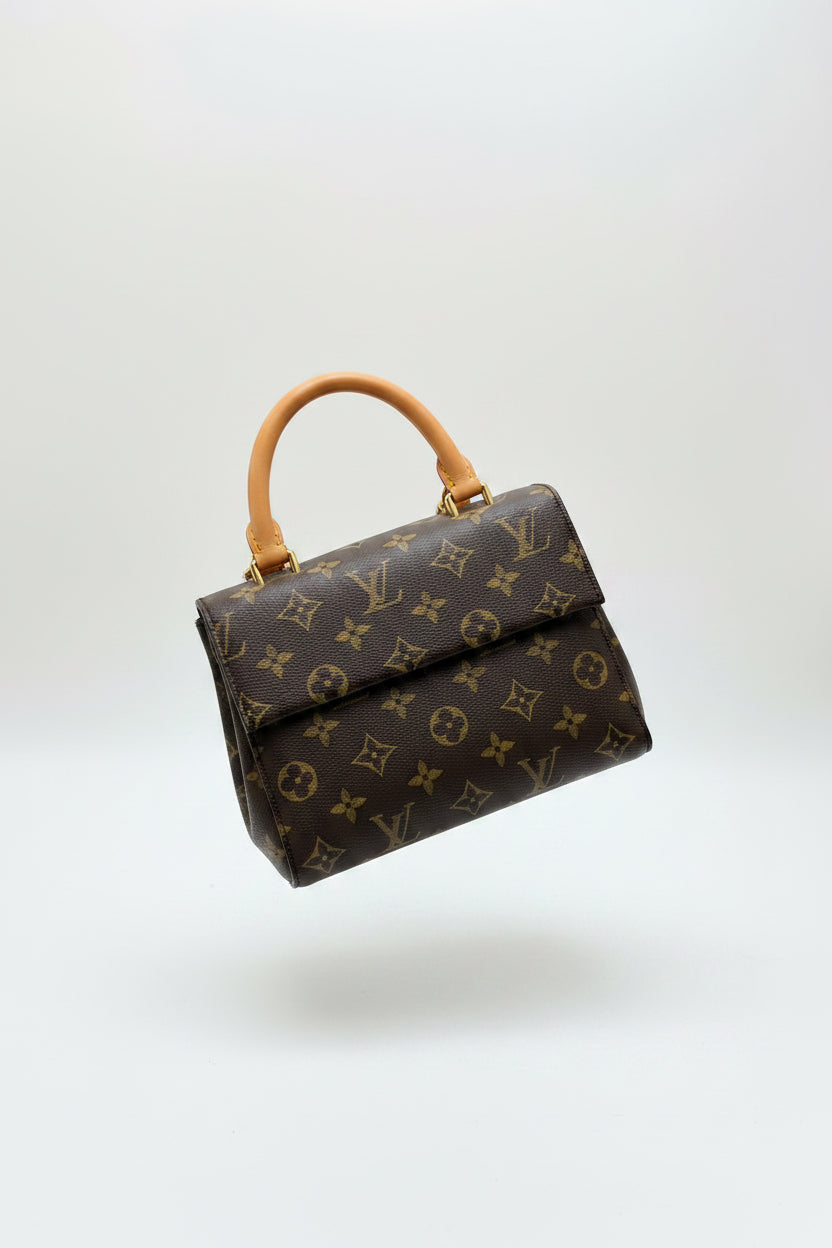 LV Bag (box and dust bag included)