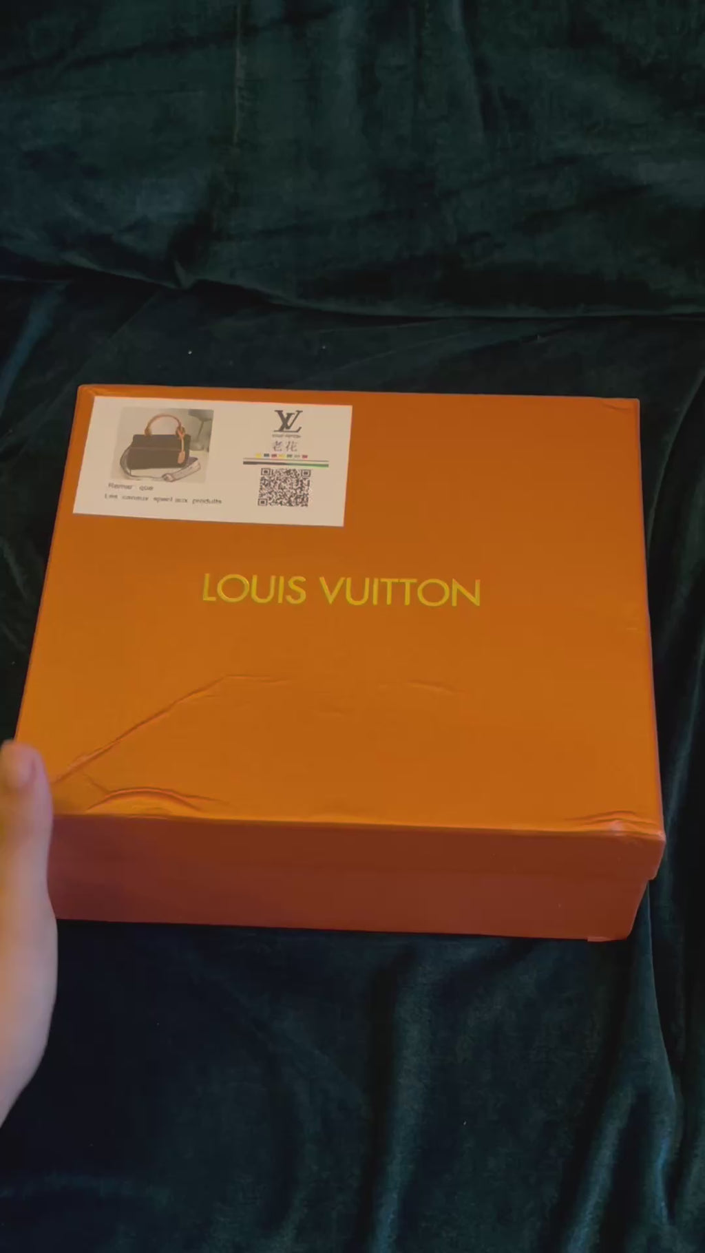 LV Bag (box and dust bag included)
